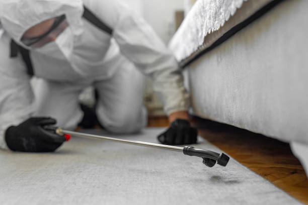 Professional Ant Control technician working in Lake Mohawk, OH