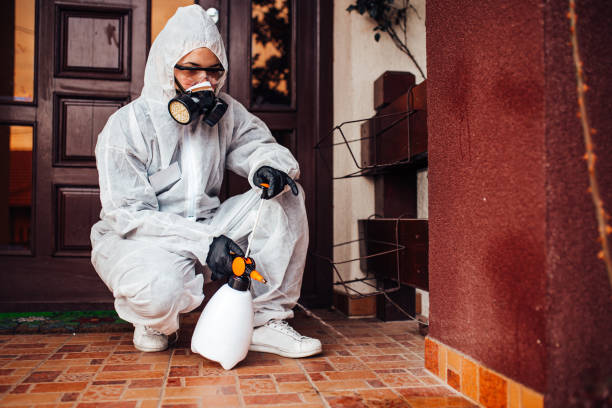 Reliable Ant Control contractor in Lake Mohawk, OH by Show Me Pest Control